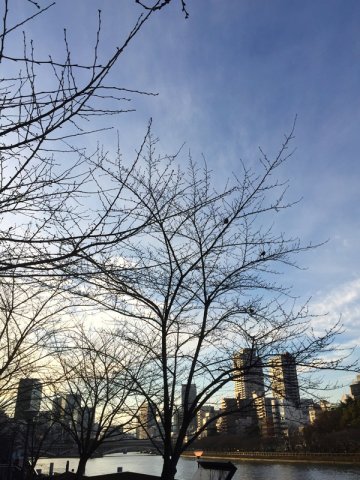 20170305155720.jpg
